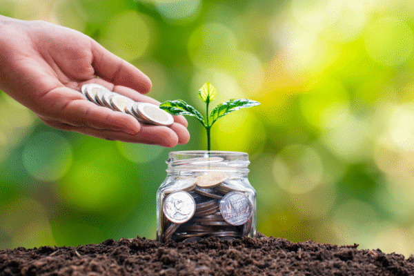 Micro investing tips for beginners