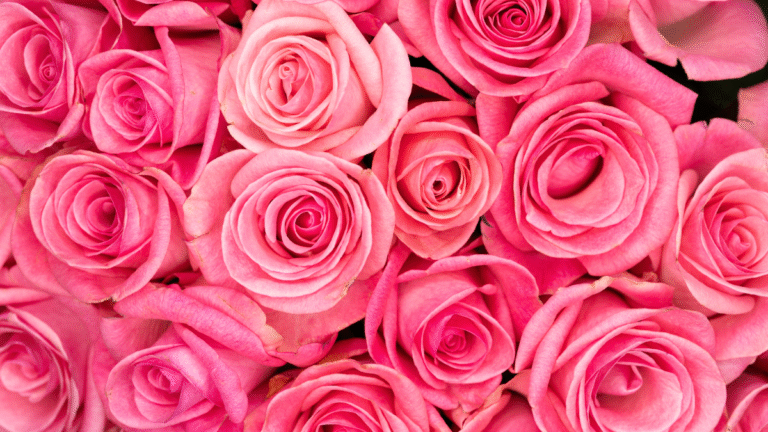 101 Mind-Blowing Psychology of Pink Facts You Should Know