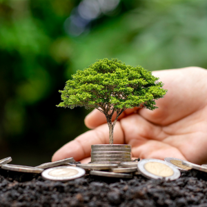 Sustainable Finance