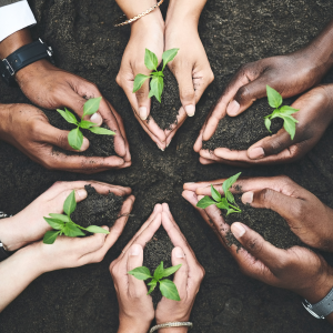 Sustainable Finance
