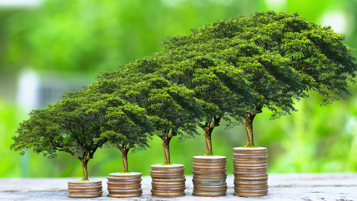 Sustainable Finance