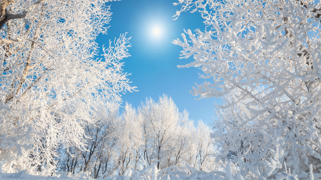 December Quotes