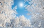 December Quotes