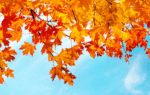 November Quotes