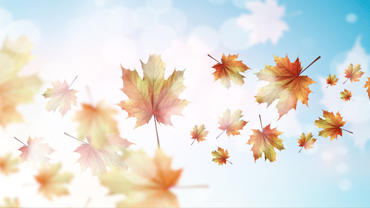 September Quotes