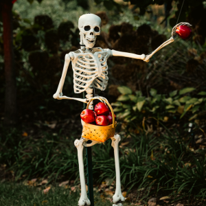 Funny Halloween quotes